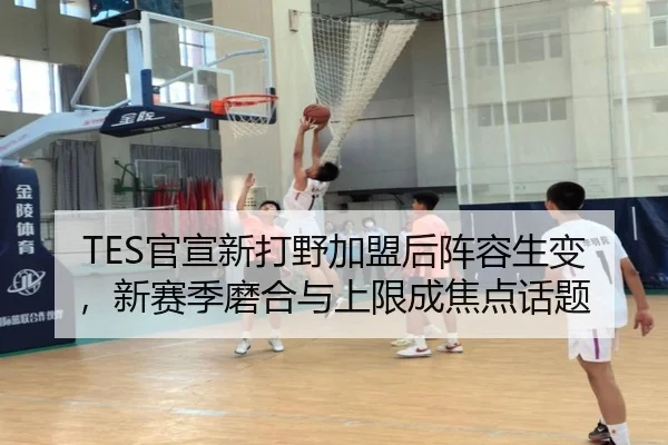 TES官宣新打野加盟后阵容生变，新赛季磨合与上限成焦点话题